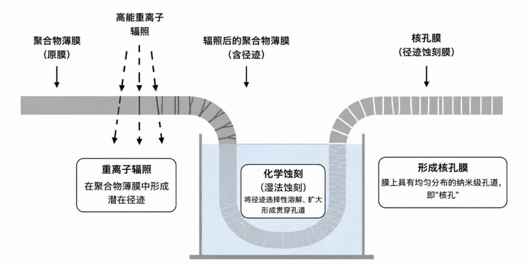 核孔膜生产原理示意图